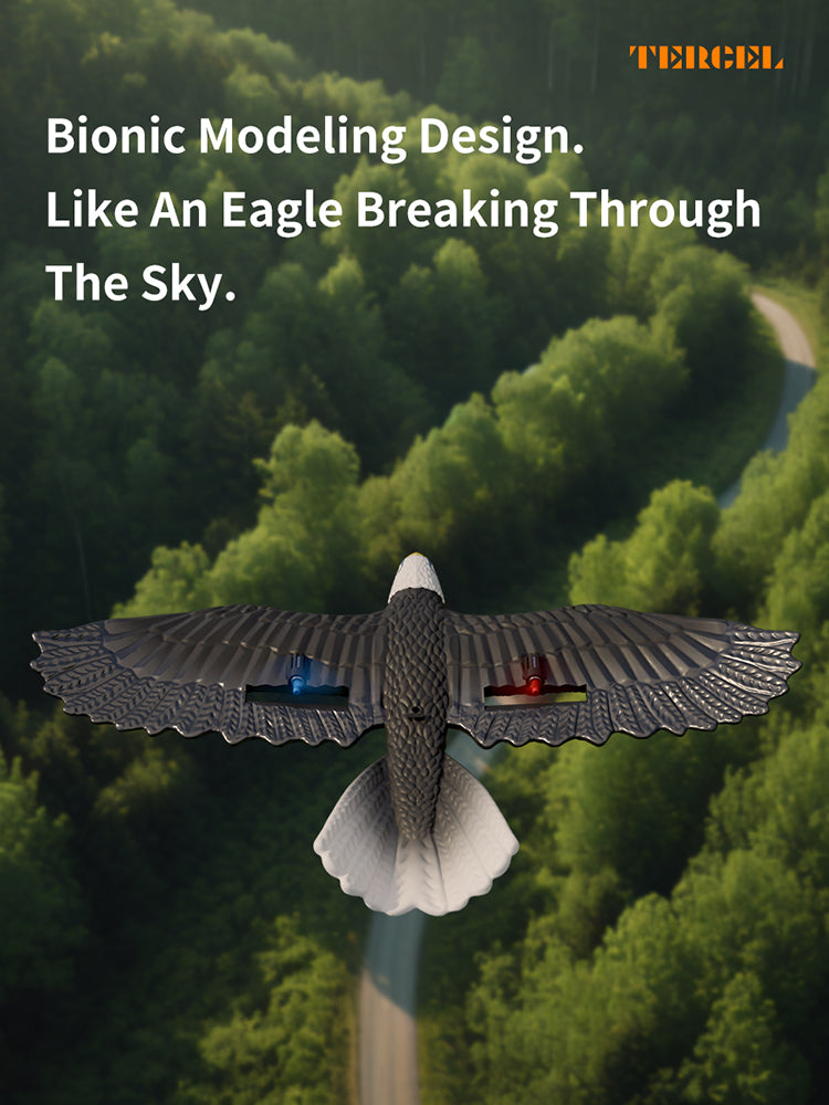 RC Eagle For Kids