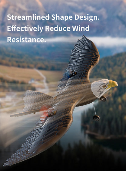 RC Eagle For Kids