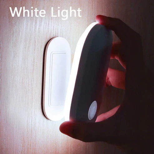 Human Induction Home Light