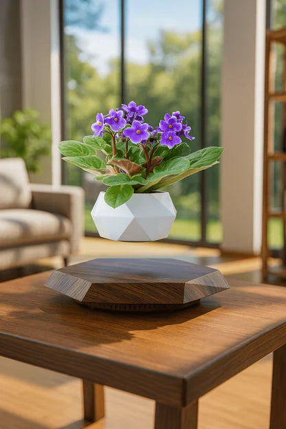 Levitating - Floating Flower Pot with Wood Base