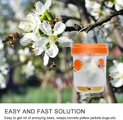 Solar-Powered Wasp Trap